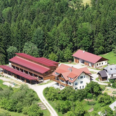 Ferienwohnungen Bauernhof Schilcher Sankt Stefan im Lavanttal Exteriér fotografie