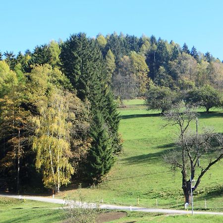Ferienwohnungen Bauernhof Schilcher Sankt Stefan im Lavanttal Exteriér fotografie