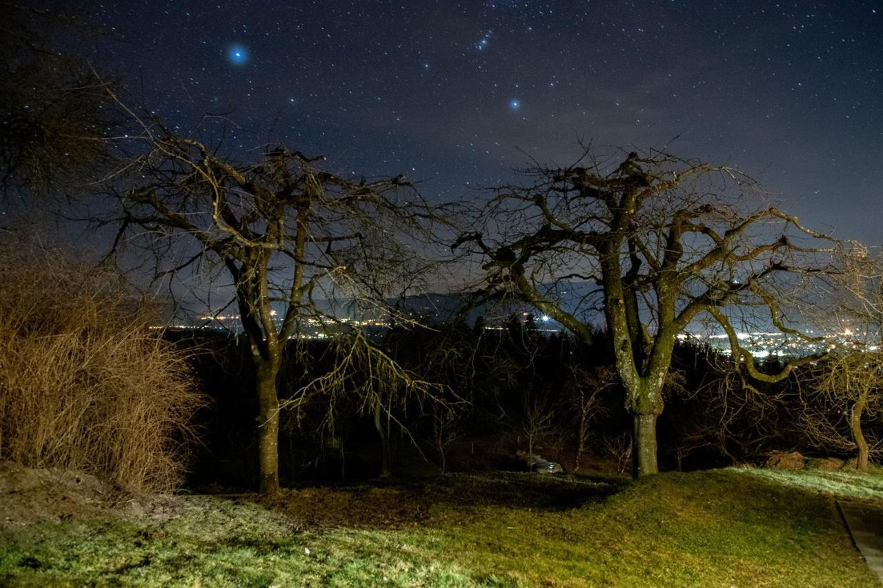 Ferienwohnungen Bauernhof Schilcher Sankt Stefan im Lavanttal Exteriér fotografie