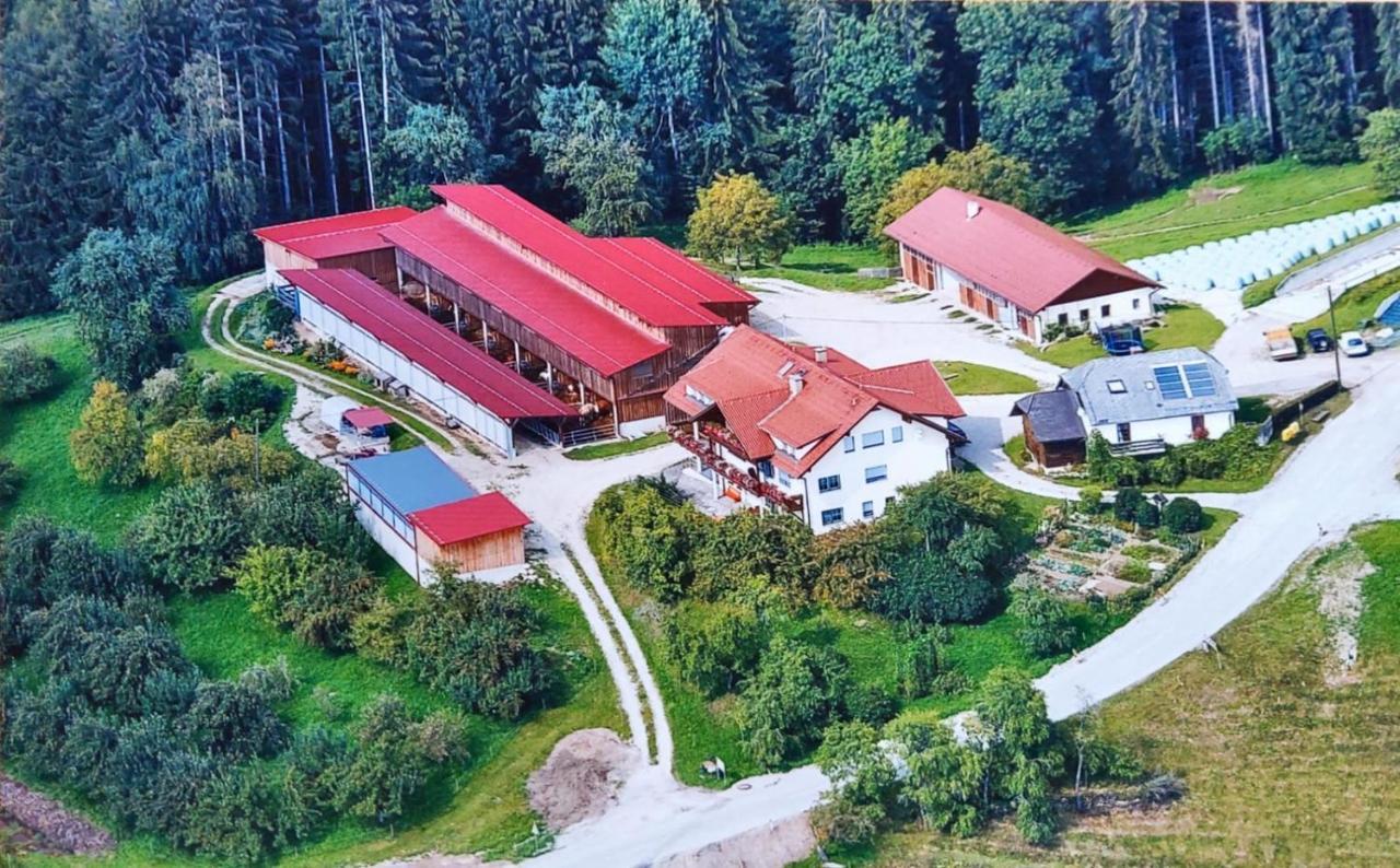 Ferienwohnungen Bauernhof Schilcher Sankt Stefan im Lavanttal Exteriér fotografie