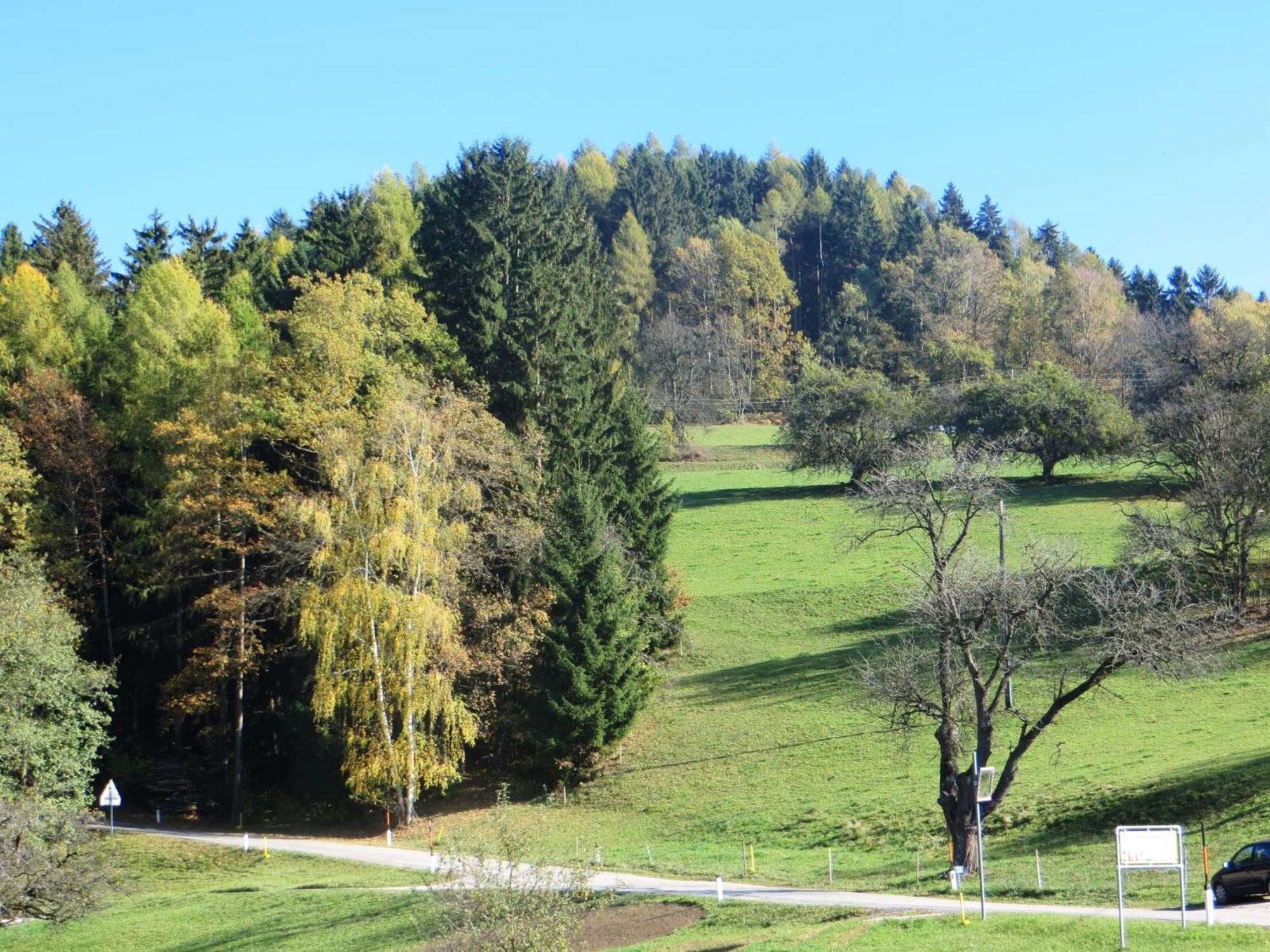 Ferienwohnungen Bauernhof Schilcher Sankt Stefan im Lavanttal Exteriér fotografie