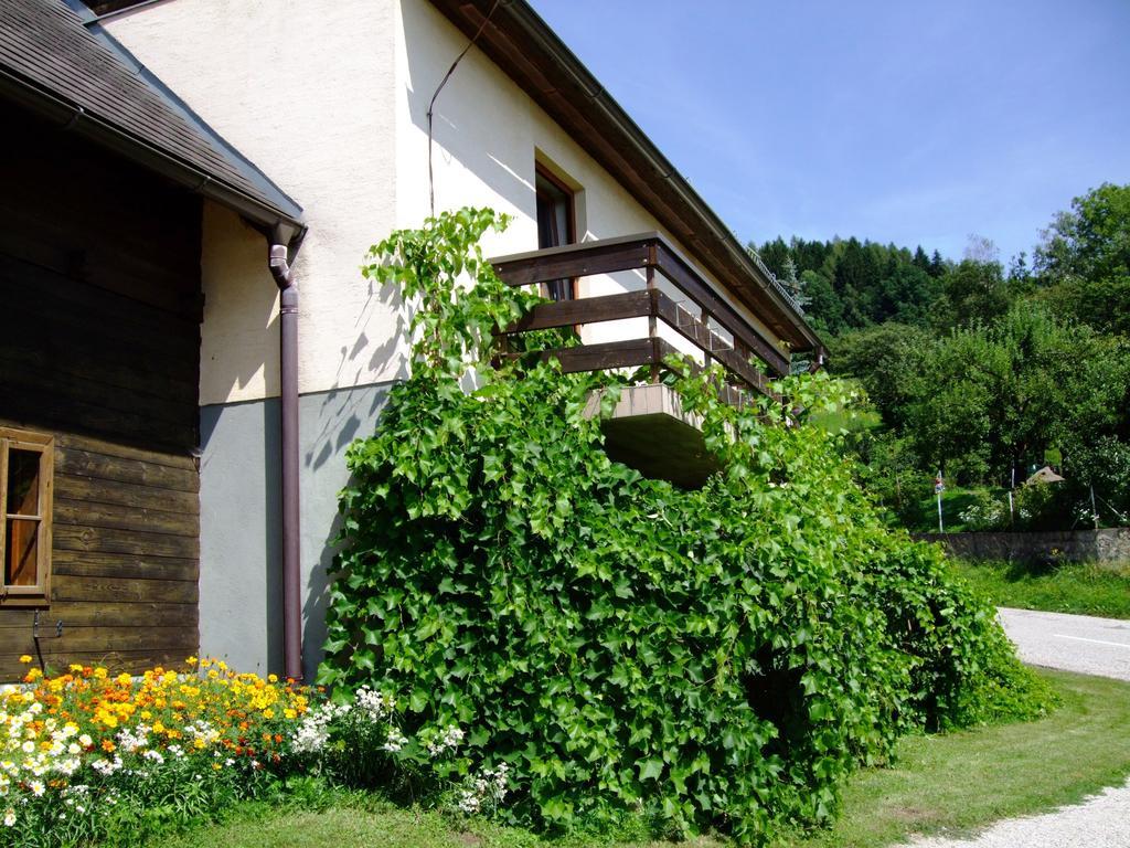 Ferienwohnungen Bauernhof Schilcher Sankt Stefan im Lavanttal Exteriér fotografie