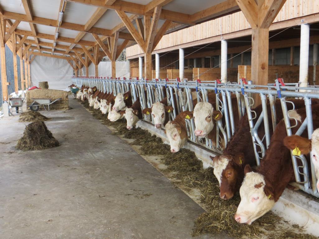 Ferienwohnungen Bauernhof Schilcher Sankt Stefan im Lavanttal Exteriér fotografie