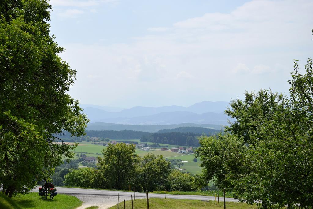 Ferienwohnungen Bauernhof Schilcher Sankt Stefan im Lavanttal Exteriér fotografie
