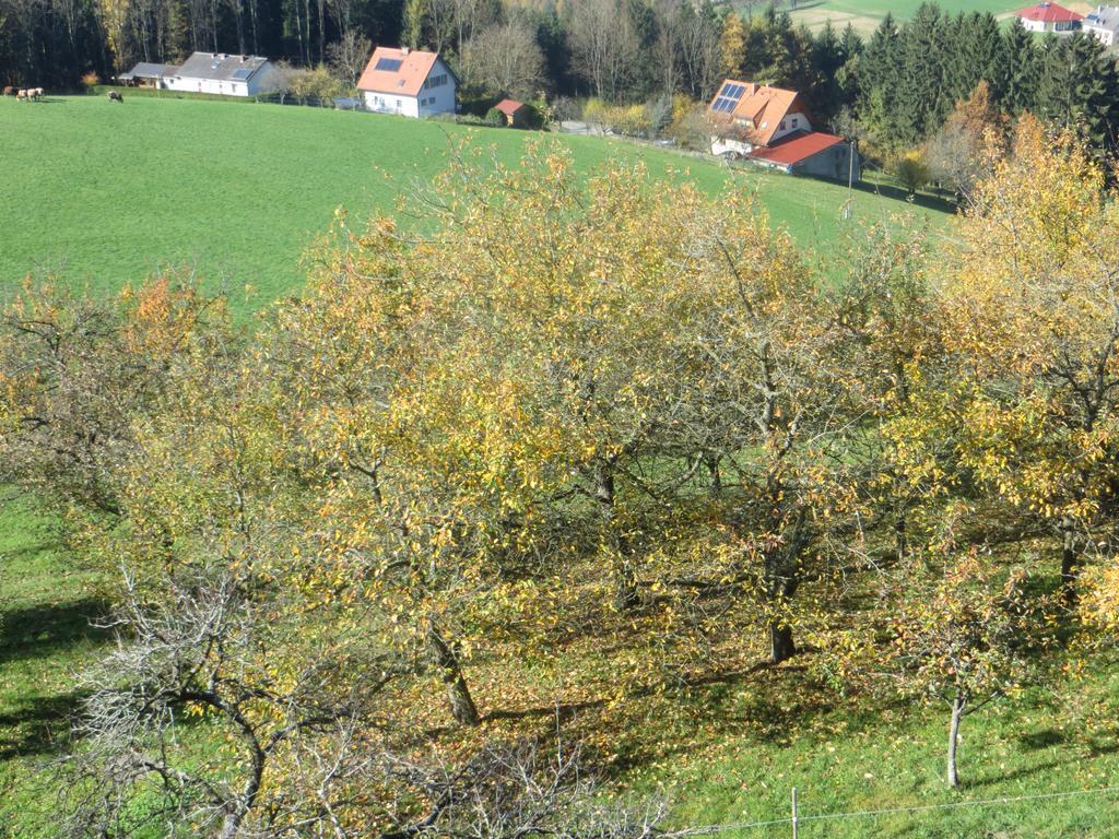 Ferienwohnungen Bauernhof Schilcher Sankt Stefan im Lavanttal Exteriér fotografie